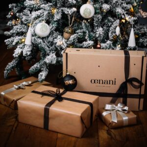oenani cadeau de Noël vin et boîte cadeau boîte à vin